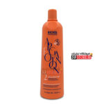 کراتین مو آرگان ریچی